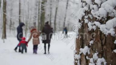 冬天<strong>公园</strong>里有白雪覆盖的<strong>树木</strong>，一家人带着孩子在<strong>公园</strong>里散步。